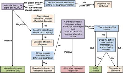 New Horizons in Short Children Born Small for Gestational Age